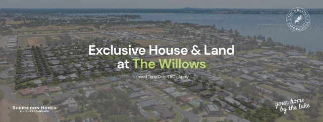 Willows